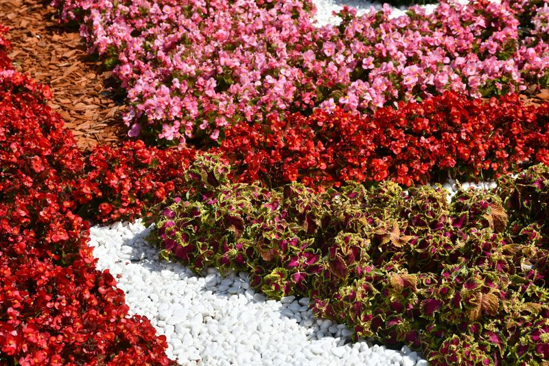 Mulch Installation