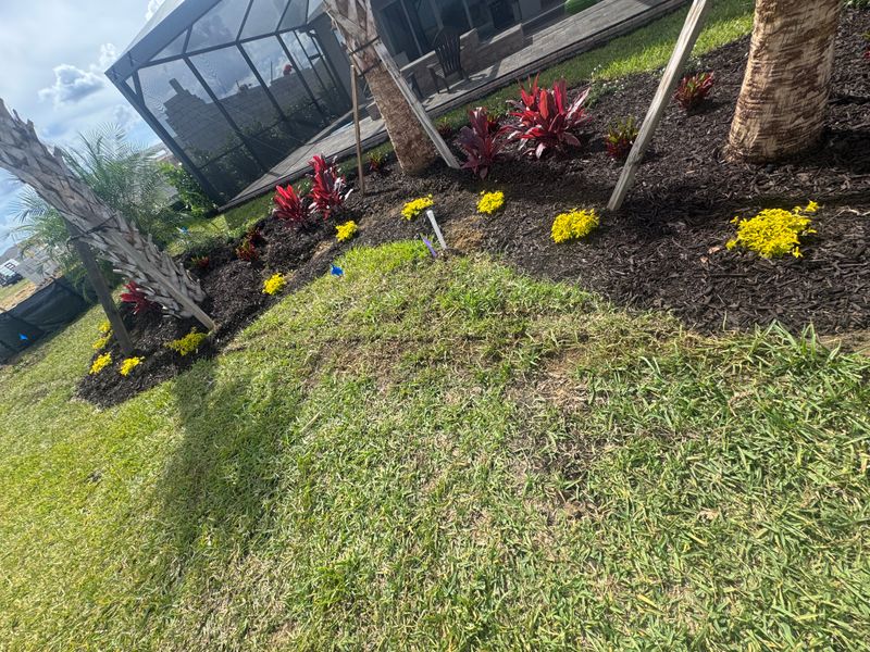 Landscaping