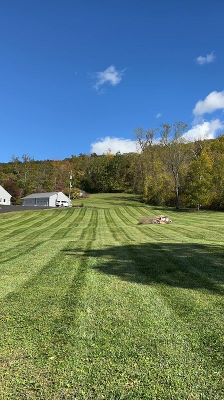 Landscaping 