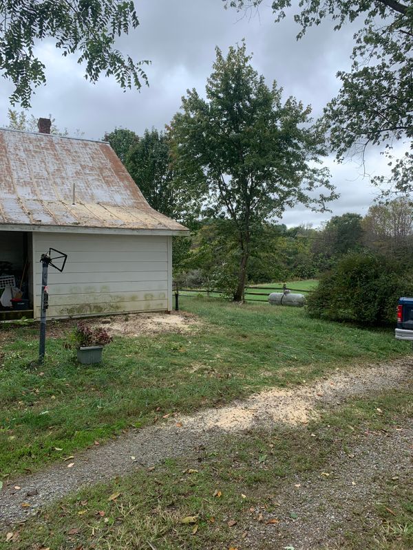 Tree Removal gallery