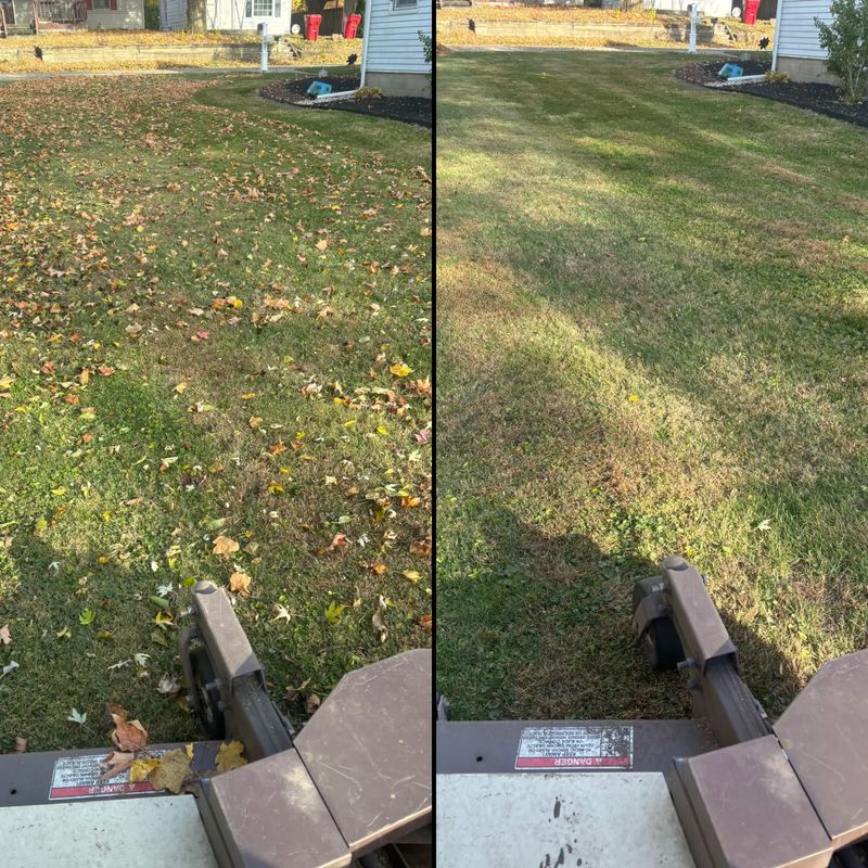 Fall Clean Up