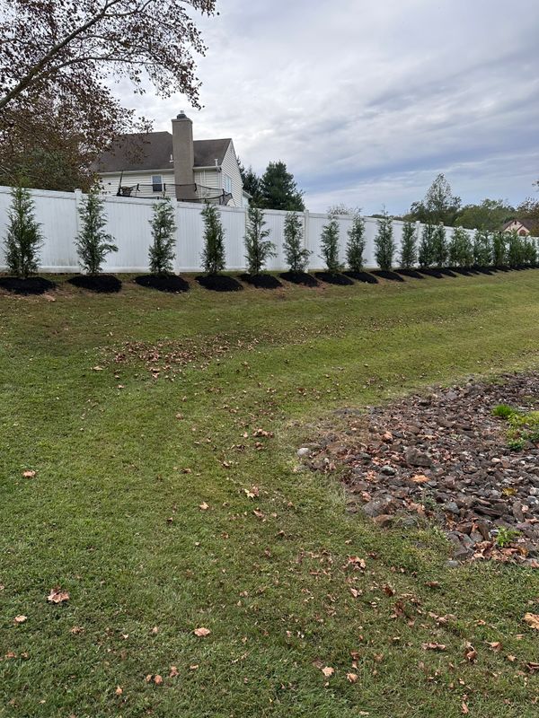 Tree & Perennial Planting