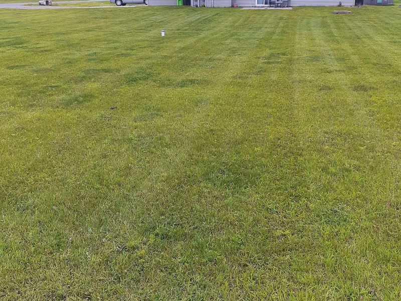 Lawn Maintenance