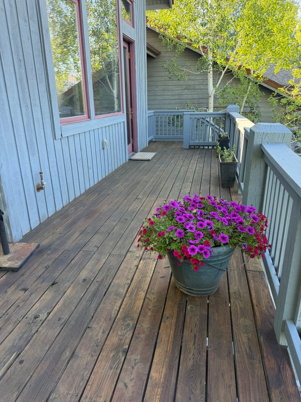 Deck Restoration