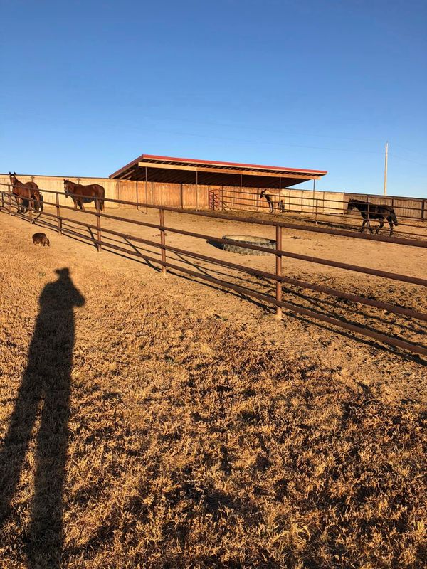 High Tensile & Pipe Arenas