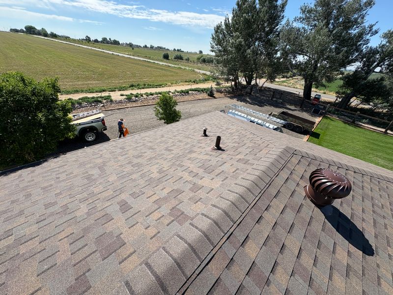 Roof Inspection