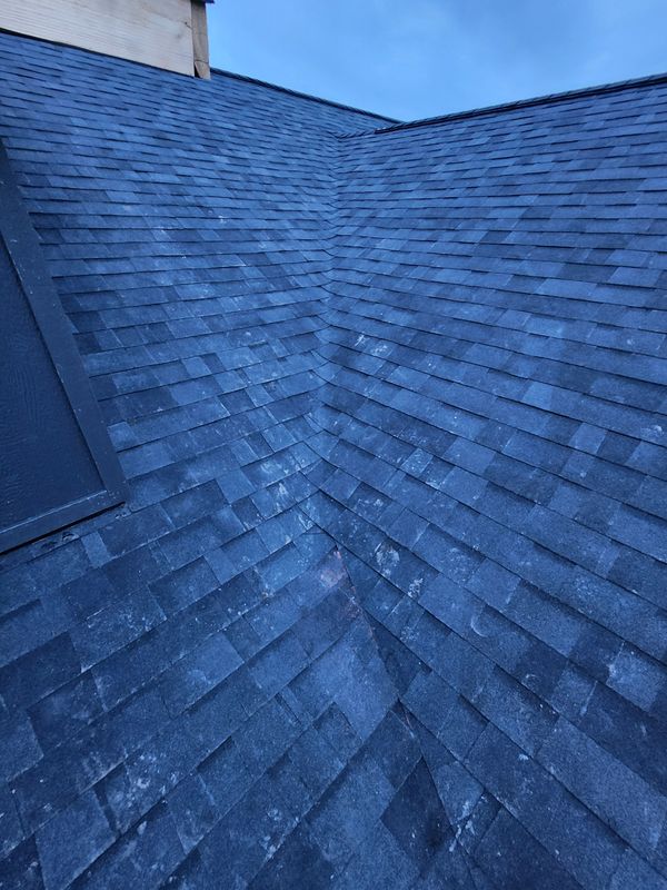 Shingle and Metal Roofs