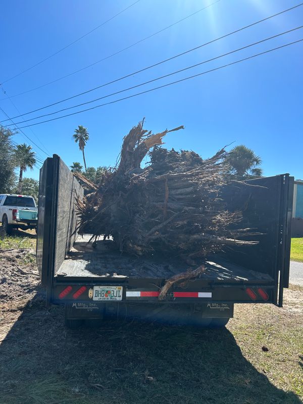 Land Clearing/ Forestry mulching gallery