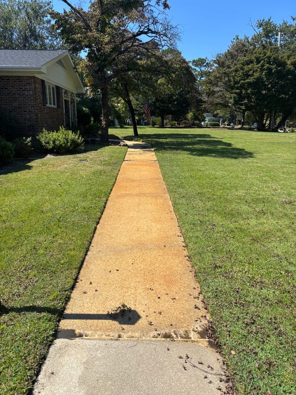 Hardscape Cleaning