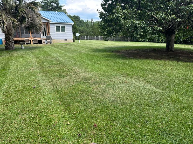Mowing
