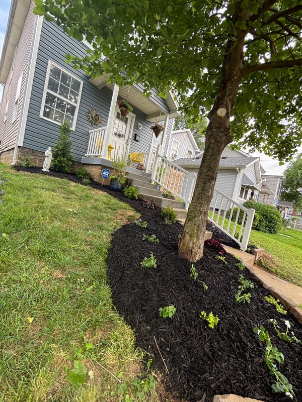 Yard Work & Planters