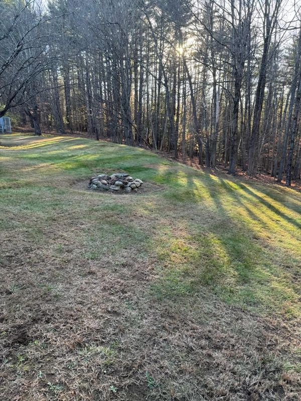 Fall and Spring Clean Up