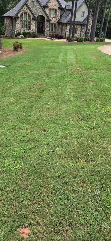 Precision Mowing Excellence: Elevating Barnesville's Curb Appeal with Fresh Cut Yard & Lawn Care
