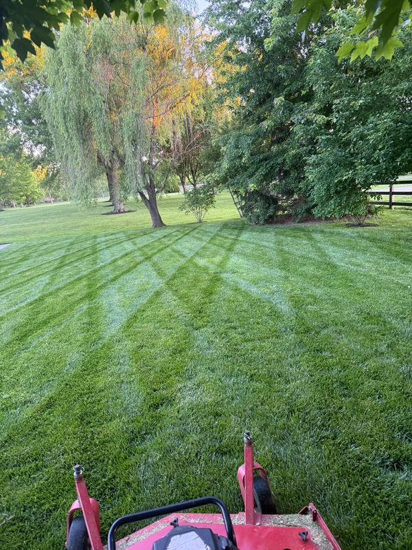Mowing