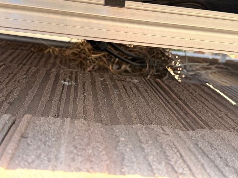 Bird Proofing