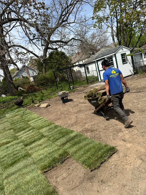 Sod Installation