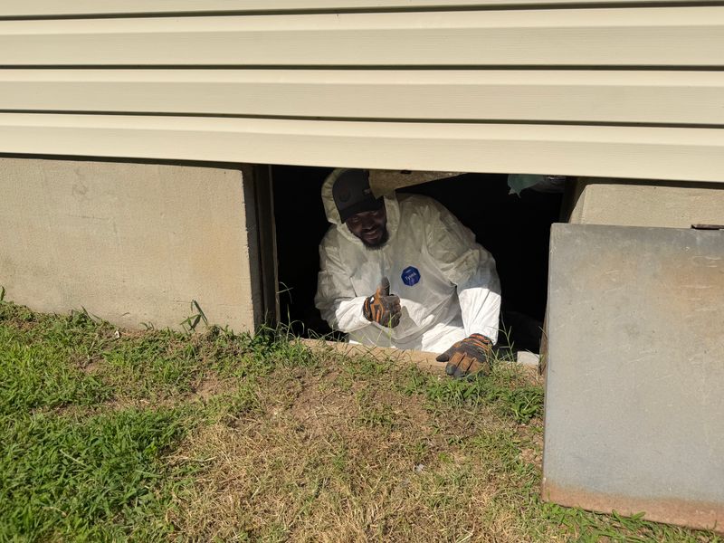 Basement Services