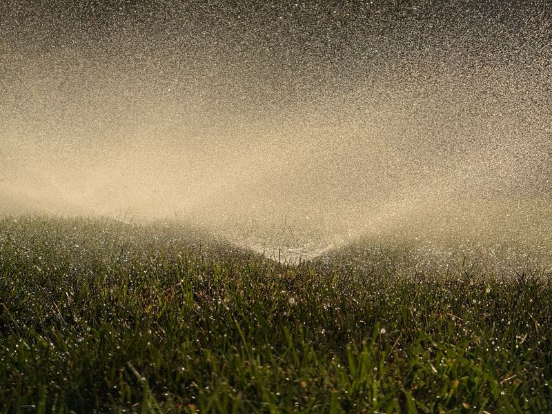 Drip Irrigation Installation and Maintenance