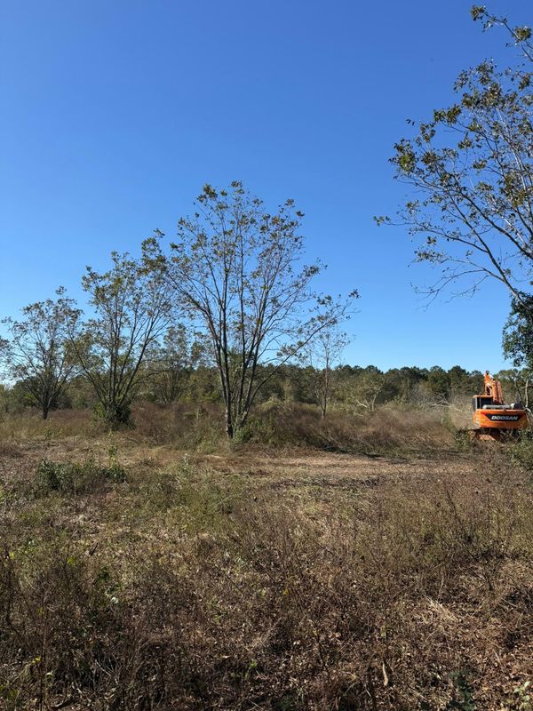 Land Clearing & Demolition
