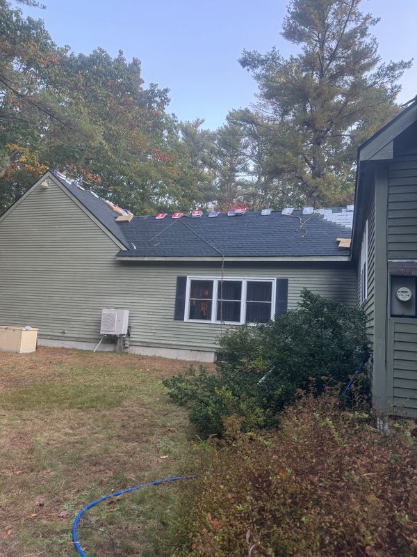 Roofing & Exterior Home Maintenance