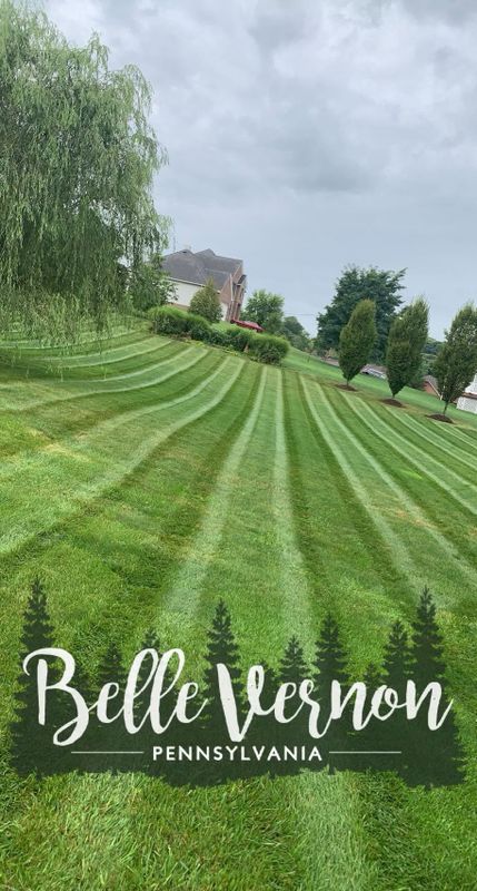 Lawn Maintenance
