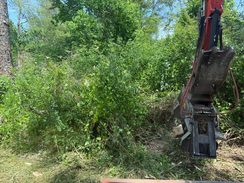 Land Clearing