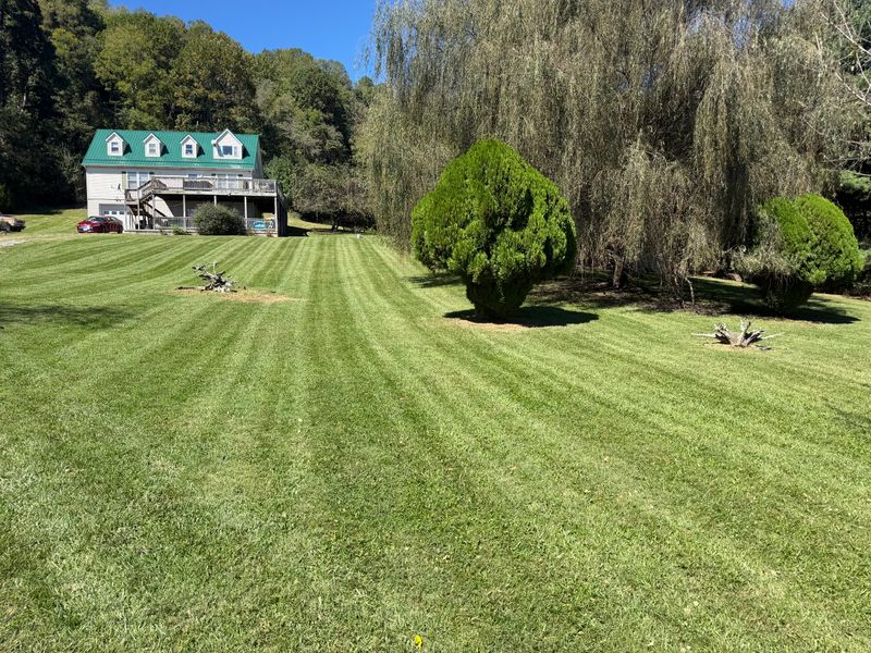 Lawn Maintenance
