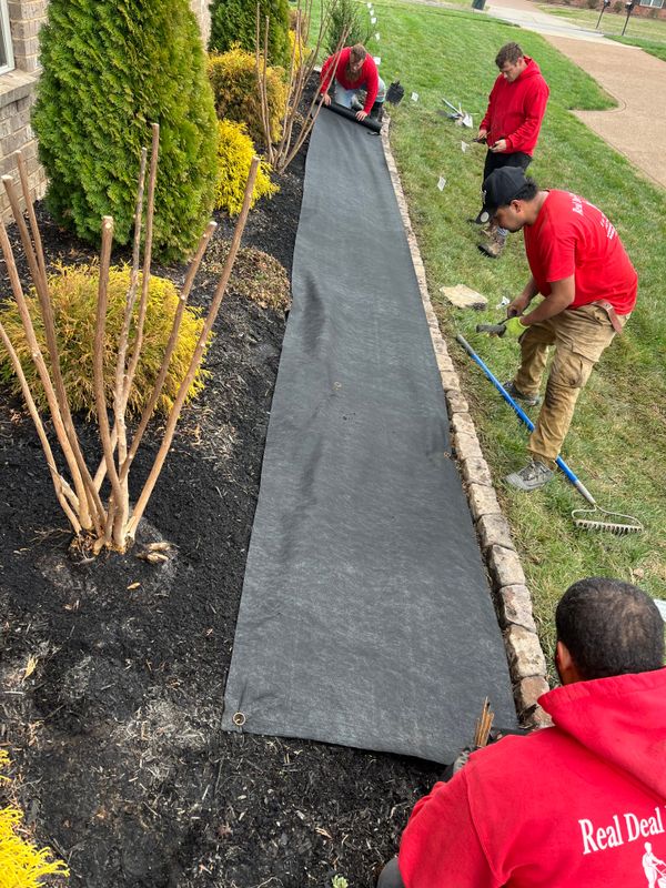 Landscape Installation