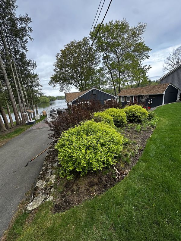Tree & Shrub Care