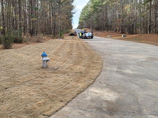 Sod Installation