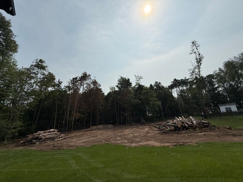 Site preps/land clearing 