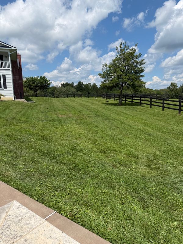 Lawn Maintenance