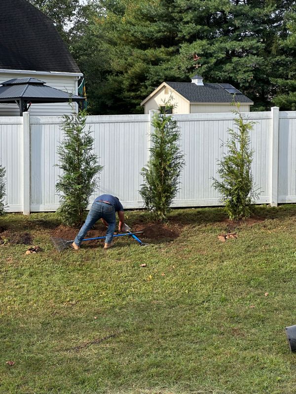 Tree & Perennial Planting