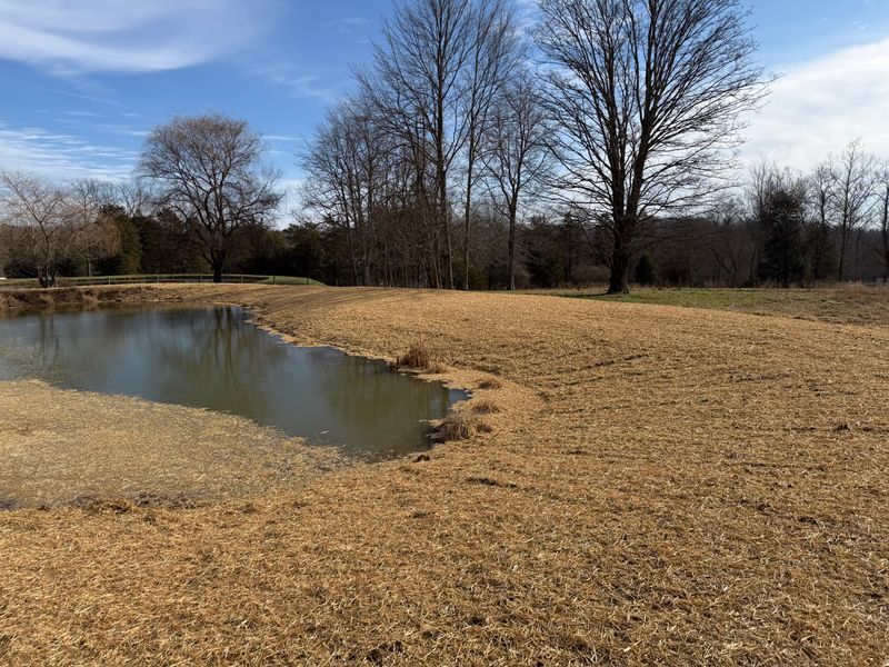 Pond Building and Maintenance