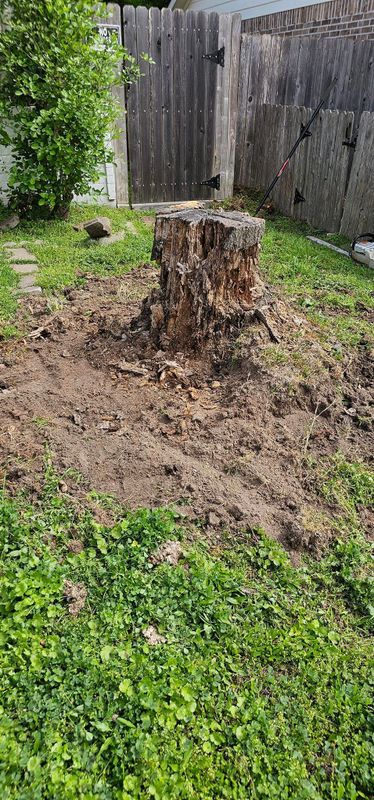 Tree Removal gallery