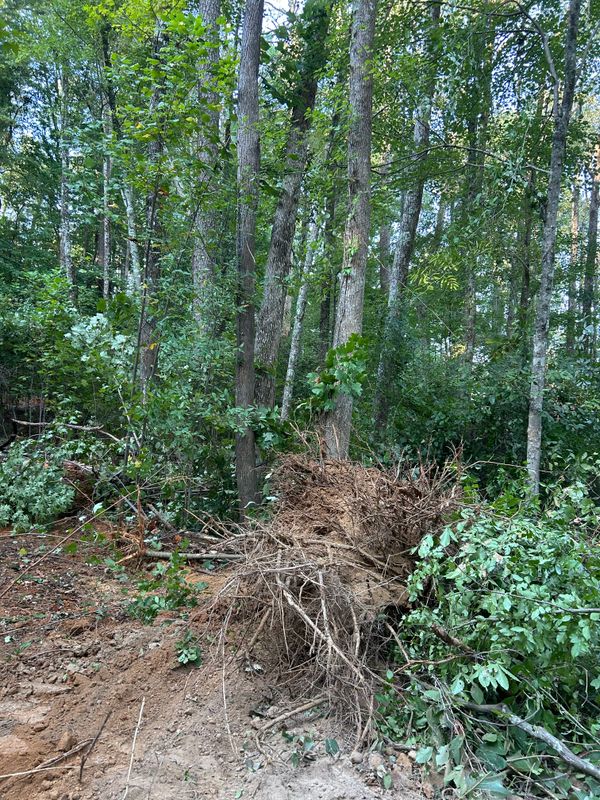 Land Clearing