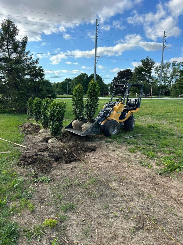 Tree and Shrub Planting