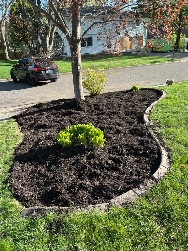 Flower Bed Gallery