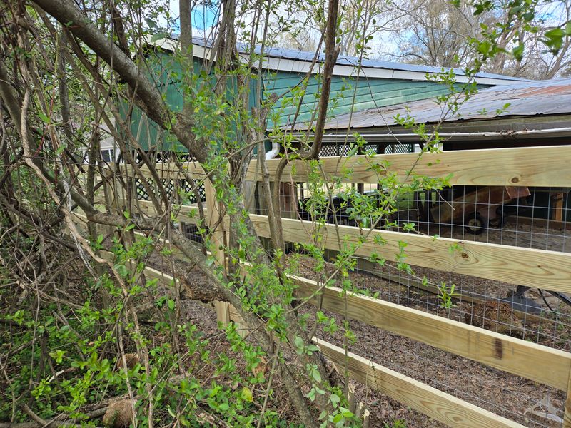 Ranch/ Farm fence