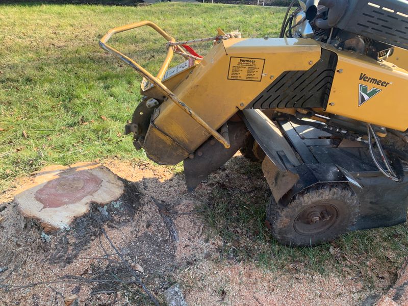 Stump Removal