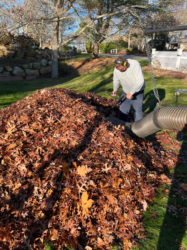Fall CleanUp