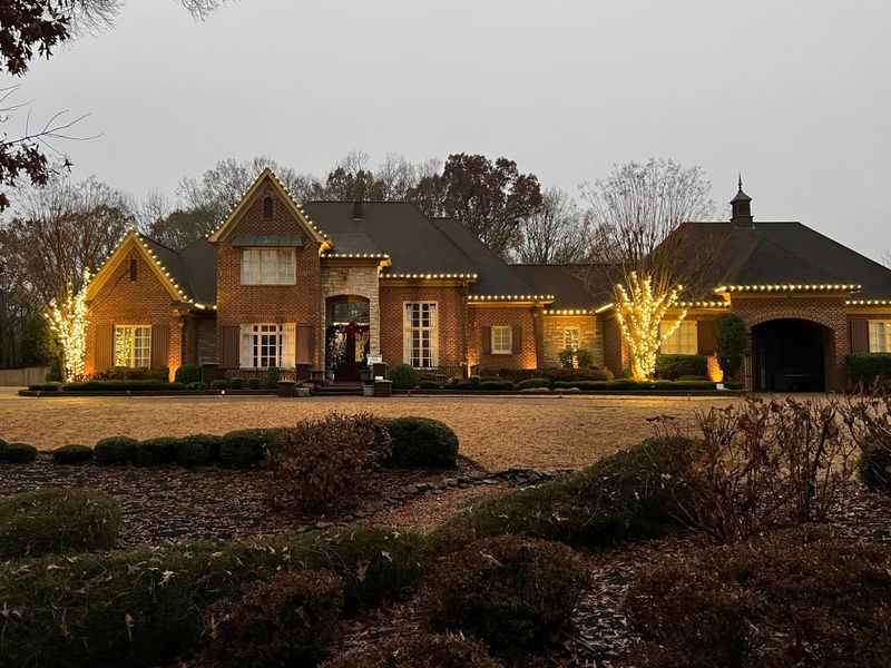 Christmas Light Services