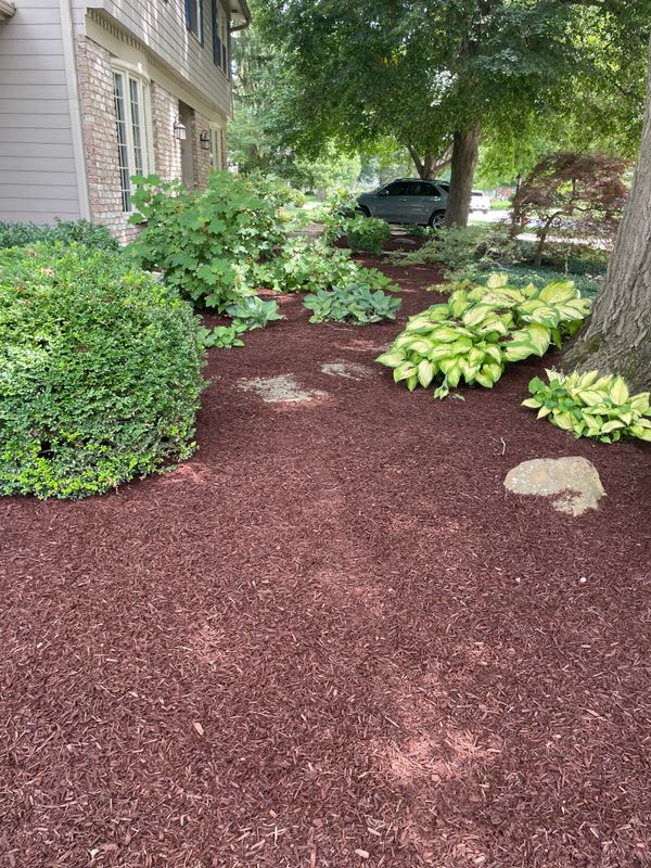 Landscape Design