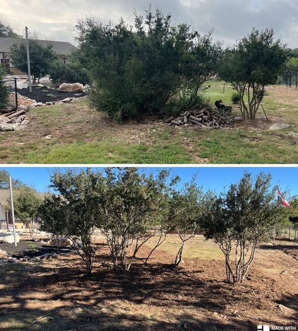 Tree Trimming & Land Clearing