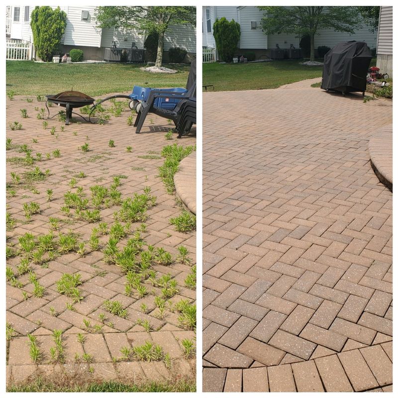 Concrete and Paver Cleaning