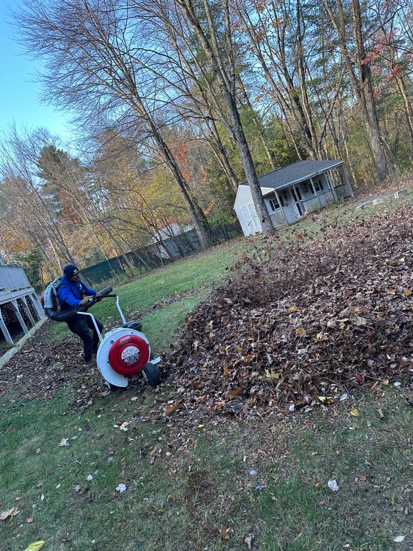 Leaf Removal