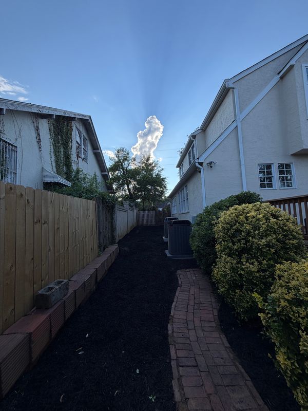 Lawn Maintenance
