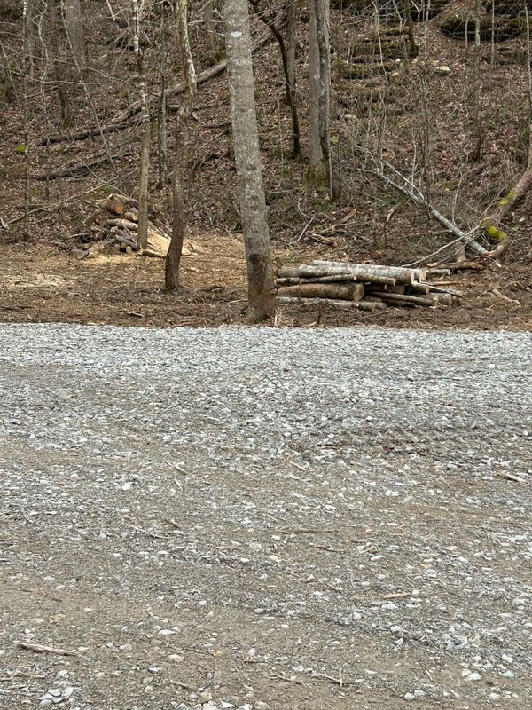 Land Clearing