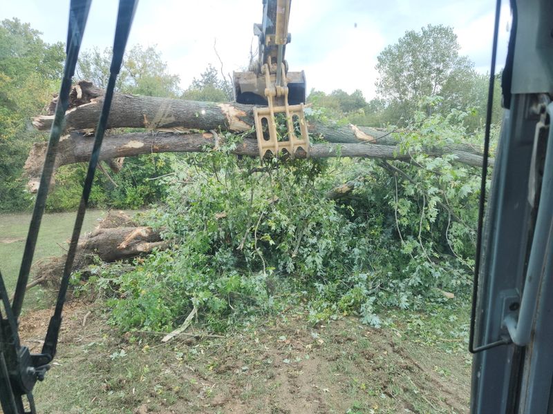 Tree Line Cleanups
