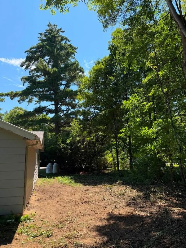 Tree Service